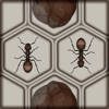 阻止蚂蚁 / Block The Ants