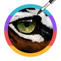 SallyCam – Tracing For Cookie Bakers & Artists