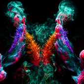 Nebula Lite – Live Wallpapers Nebula Lite – Live Wallpapers