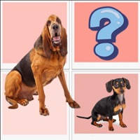The Dog Matching : Cards Matching Games For Kids The Dog Matching : Cards Matching Games For Kids