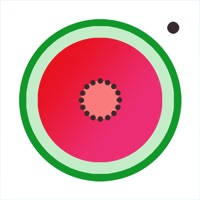 西瓜 连衣裙 相机 – WatermelonDress