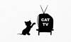 Cat TV – The Ultimate TV for Cats