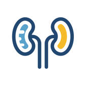 Kidney Stone Home Remedy in Hindi – Pathari Ilaaz