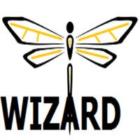 Wizard Dragonfly
