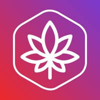 Marijuana.ai