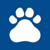 Cougar Events