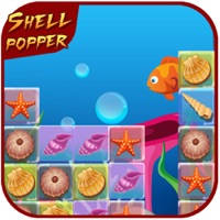 Shells Popper Shells Popper