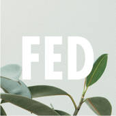 fedfedfed