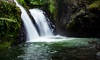 Amazing Waterfall