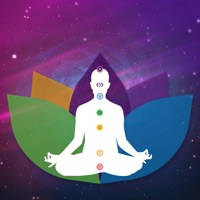 Insight Chakra Scan Insight Chakra Scan