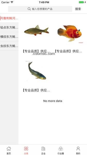 【图】中国河豚网(截图2)
