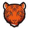TIGERSECU HD VIEWER