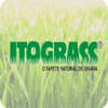 Itograss