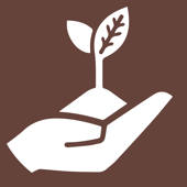 Soil Type Soil Type