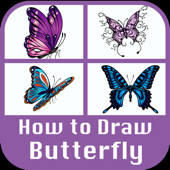 How to draw Butterfly New 2017