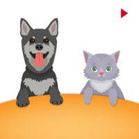 Animated Pet Cats & Dog