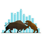 Crypto Wolf Crypto Wolf