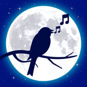 Relaxed – Sleep Sounds & Relax