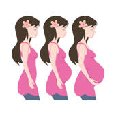My Baby Bod – pregnancy photos