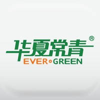 All EverGreen Securities All EverGreen Securities
