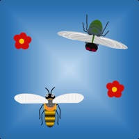 Bee-vs-Fly Bee-vs-Fly