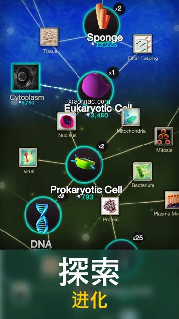 【图】Cell to Singularity: Evolution(截图2)