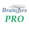 Branches Pro for iPhone