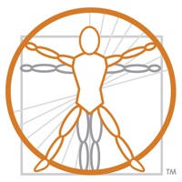 BSI 2D AR Anatomy