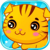 Pet Cat at Home