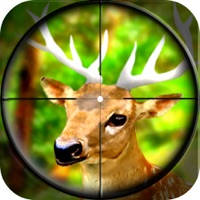 Forest Wild Animal – Hunting 3