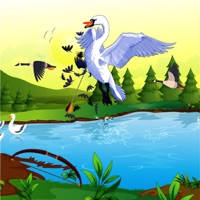Bow Bird Hunting