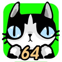 猫孕日记 猫孕日记