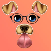 照片编辑器过滤贴纸 照片编辑器过滤贴纸