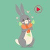 Animated Grey Bunny