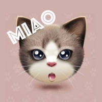 猫语翻译器-人猫互译交流 猫语翻译器-人猫互译交流