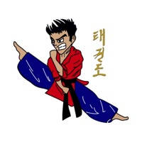 Sterner’s Tae Kwon Do