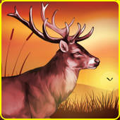 Wild Animal Hunting Games 2021