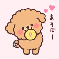 fluffy toy poodle 3set