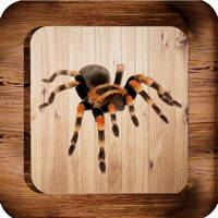 Insect Smasher Pro Insect Smasher Pro