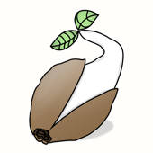 Sprout: Grow Log