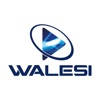 Walesi Walesi