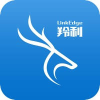 羚利绩效-身边的绩效管理专家