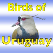 The Birds of Uruguay