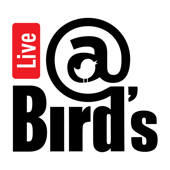 Live@Birds Live@Birds