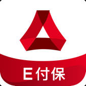 E付保