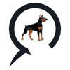 Call’a Dogies