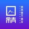 常青画室