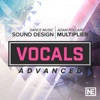 Adv. Vocals For Sound Design