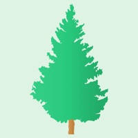 Pine – Deep Breathing