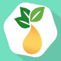Essential Oils Guide – MyEO